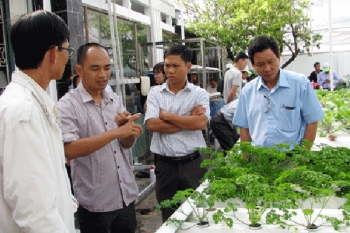 Siêu độc đáo: Làm vườn bằng công nghệ… điện toán đám mây